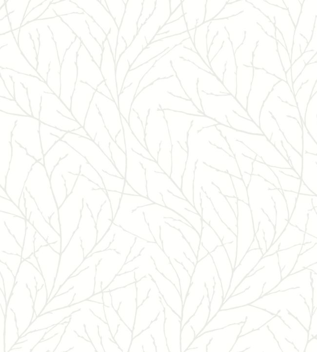 Branches Wallpaper - White