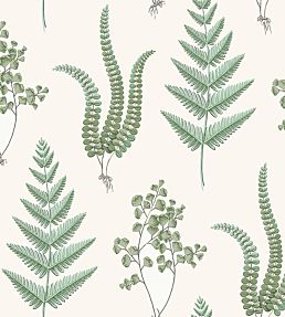 Herba Wallpaper - Green