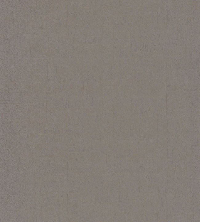 Carre Lichen Wallpaper - Gray