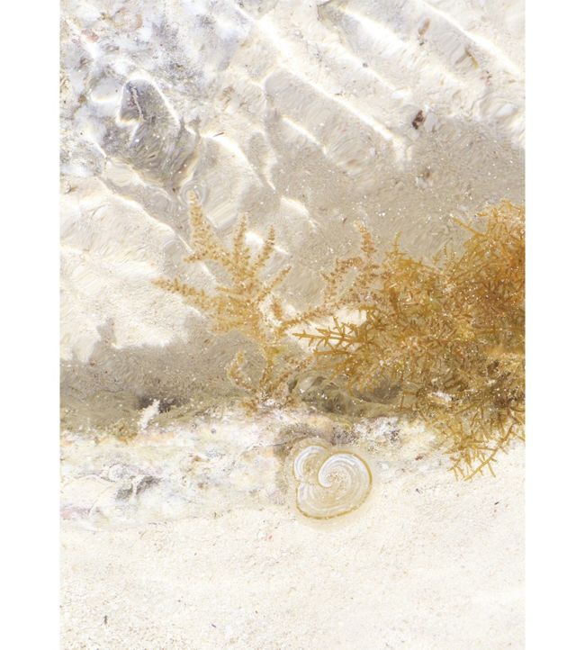 Zanzibar Wallpaper - Multicolor