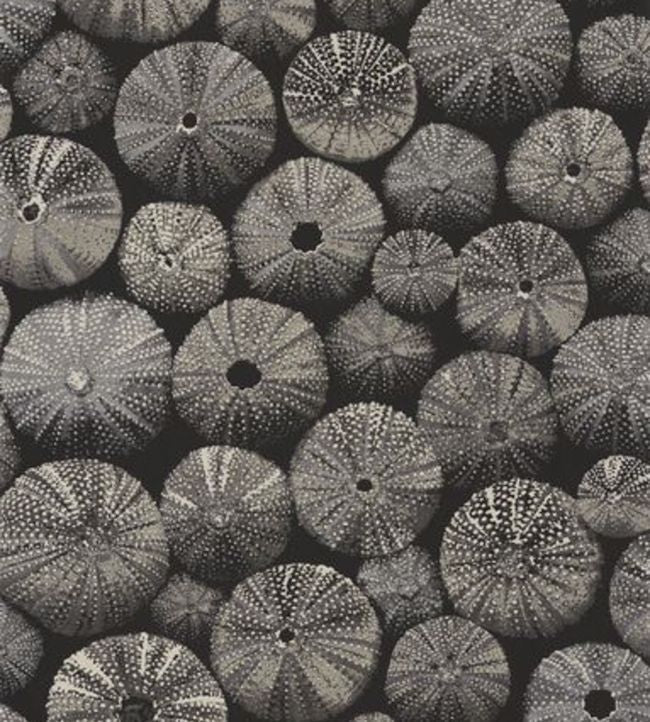 Achinos Wallpaper - Gray