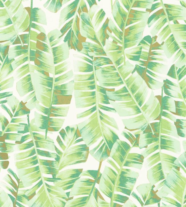 Folium Wallpaper - Green