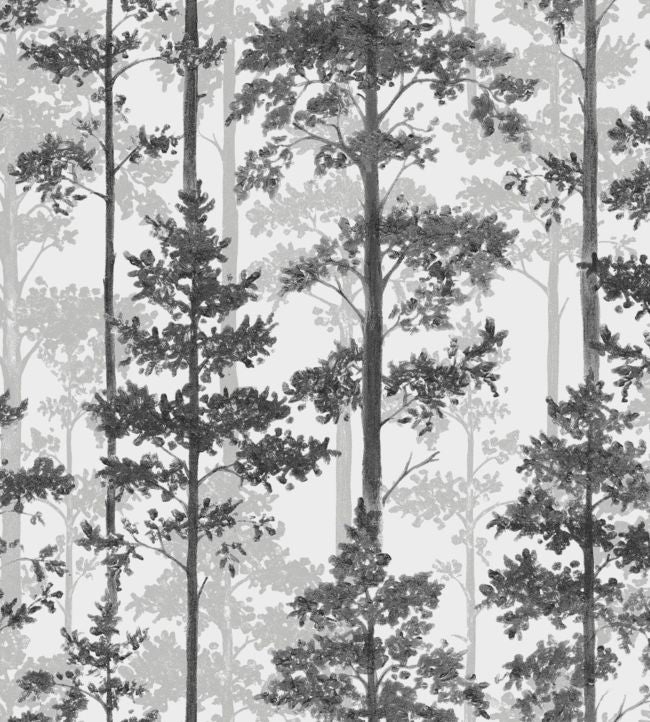 Pine Wallpaper - Gray