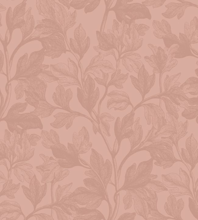 Fig Wallpaper - Pink