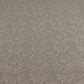 Noble Heraldic in Dove Grey Room Fabric