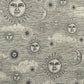 Sun & Moon Linen Double Width Room Fabric - Gray