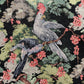 Exotic Aviary Tapestry Black Room Fabric - Multicolor