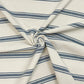Limoges Stripe Blue Double Width Room Fabric