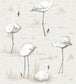 Flamingos Wallpaper - Cream - Cole & Son