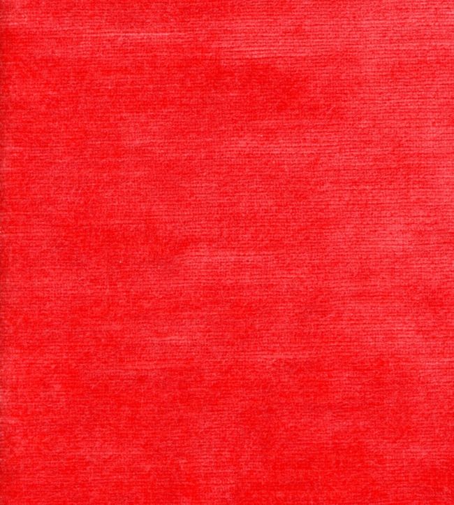 Mossop Fabric - Orange 