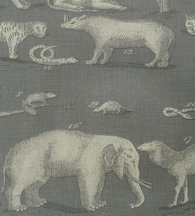 Kingdom Fabric - Gray