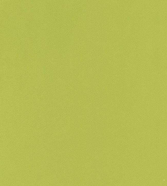 Houdini Velvet Fabric - Green 