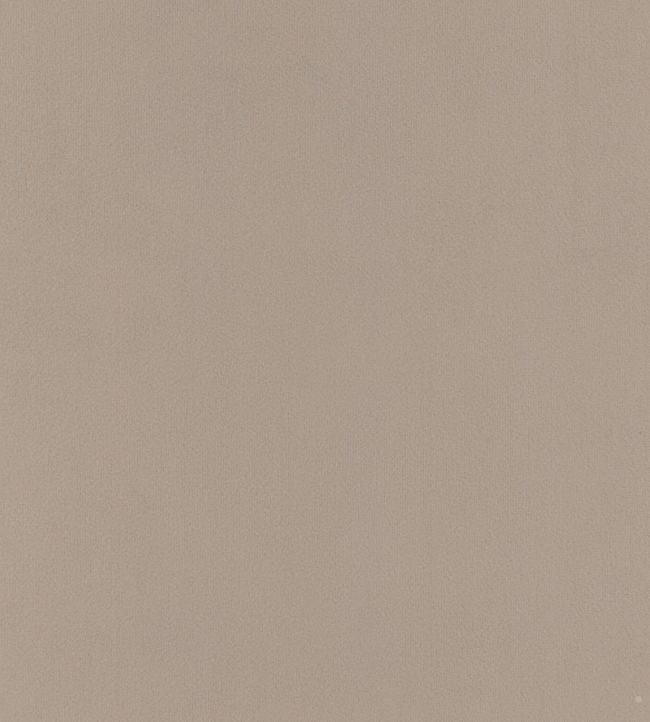 Houdini Velvet Fabric - Gray 