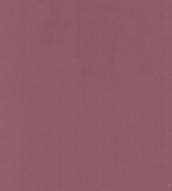 Houdini Velvet Fabric - Purple 