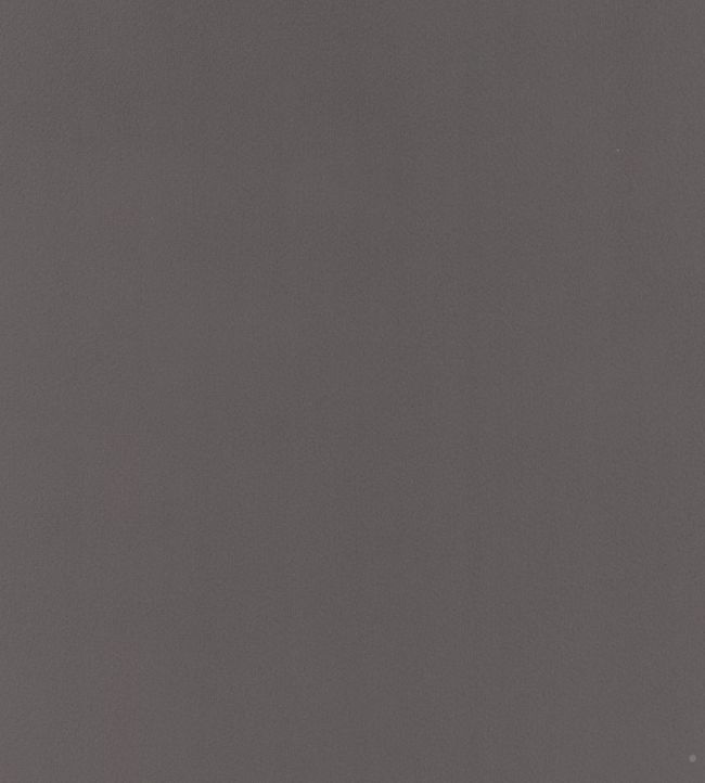 Houdini Velvet Fabric - Gray 