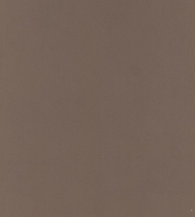 Houdini Velvet Fabric - Brown 