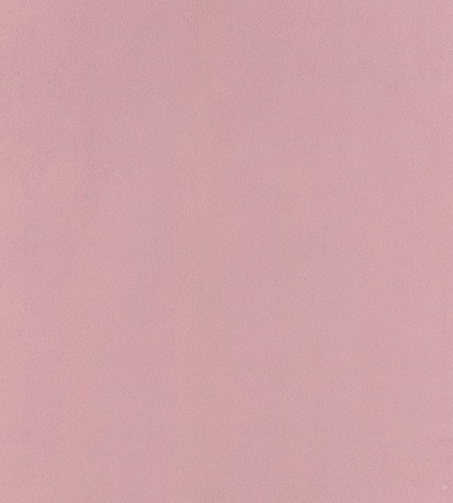 Houdini Velvet Fabric - Pink