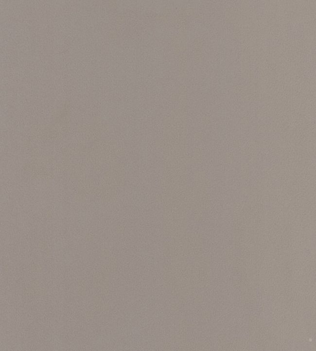 Houdini Velvet Fabric - Gray 