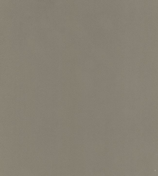 Houdini Velvet Fabric - Gray