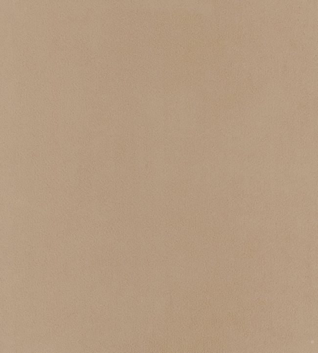 Houdini Velvet Fabric - Pink 