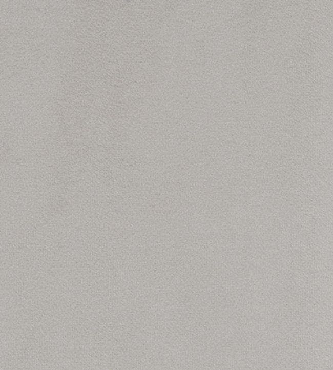 Houdini Velvet Fabric - Silver 