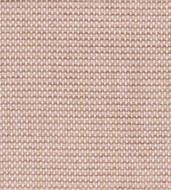 Molfetta Fabric - Pink 