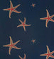 Starfish Wallpaper - Blue