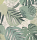 Abstract Jungle Room Wallpaper 3 - Green