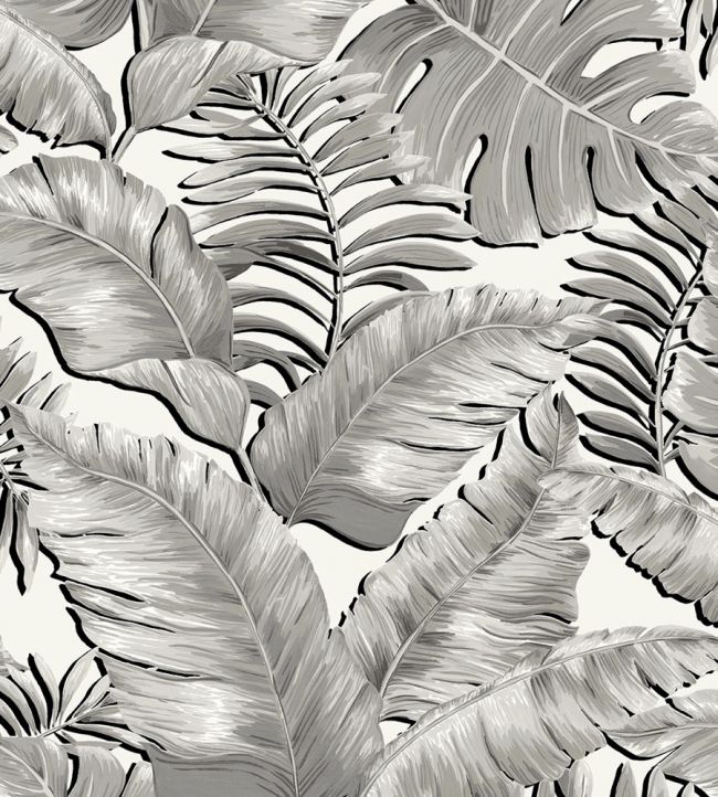 BMTD001-05A - Banana Leaves Max Wallpaper - Black & White - Brand McKenzie