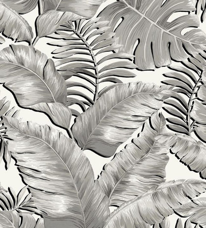 BMTD001-05A - Banana Leaves Max Wallpaper - Black & White - Brand McKenzie