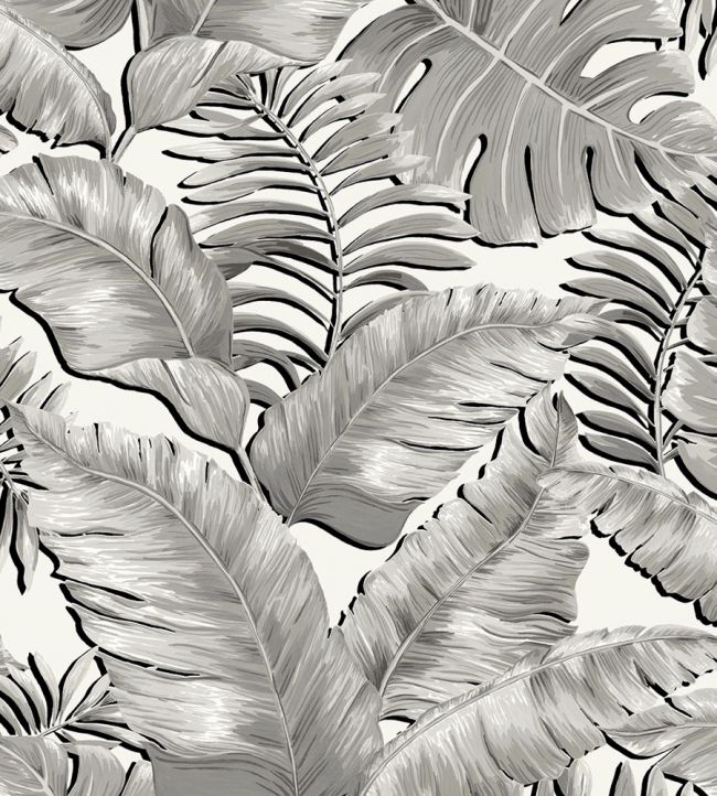 Banana Leaves Wallpaper - Gray