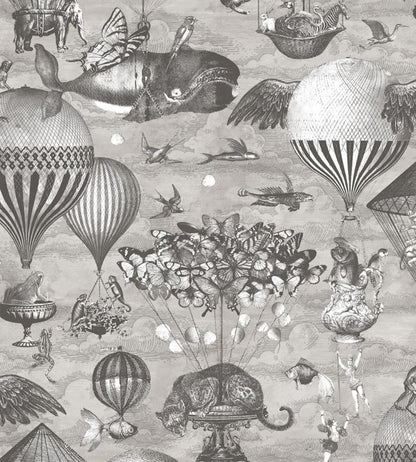 Curious Skies Wallpaper - Gray