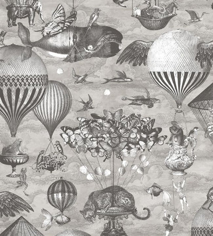 BMTD001-07A - Curious Skies Wallpaper - Black & White - Brand McKenzie