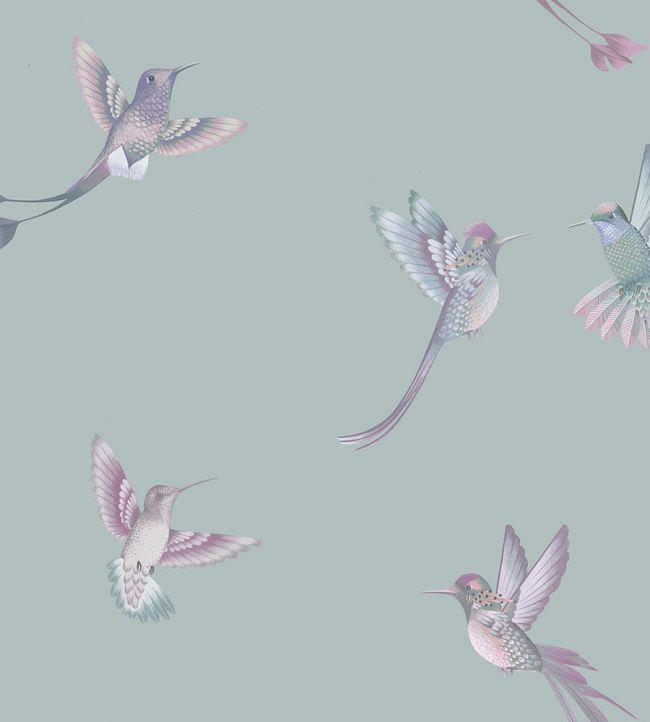 Exotic Birds Room Wallpaper 3 - Teal