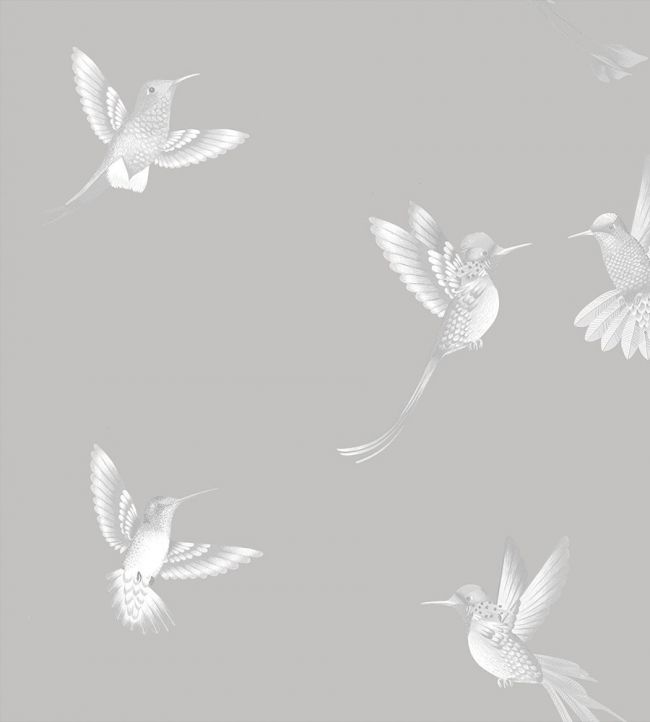 Exotic Birds Wallpaper 4 - Gray