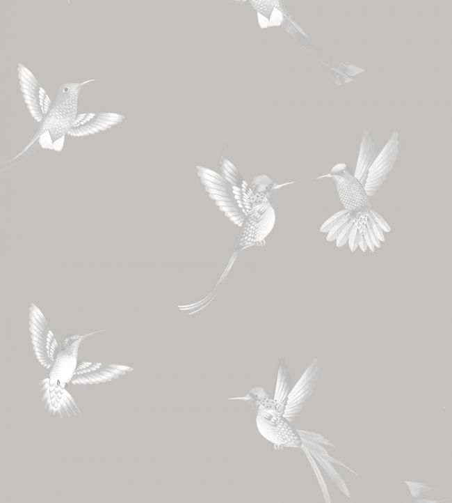BMTD001-08B - Exotic Birds Wallpaper - Concrete Grey - Brand McKenzie