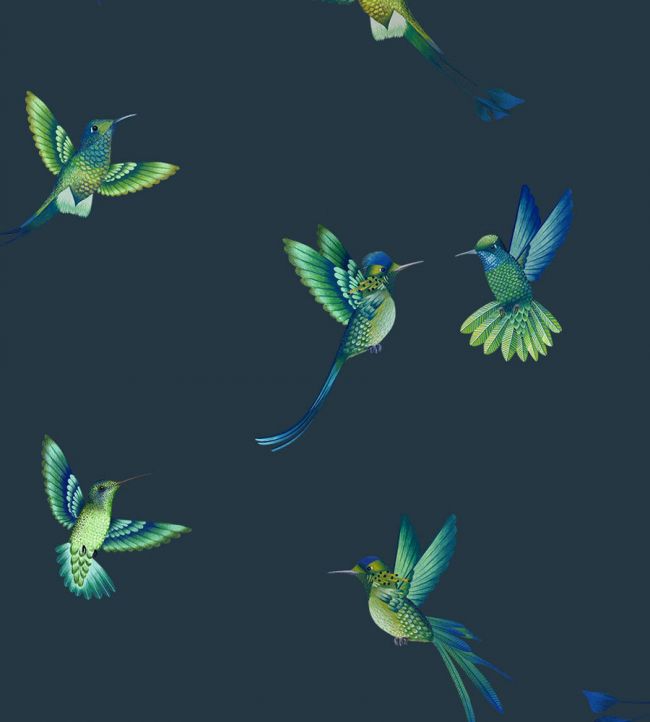 BMTD001-08C - Exotic Birds Wallpaper - Midnight Blue - Brand McKenzie