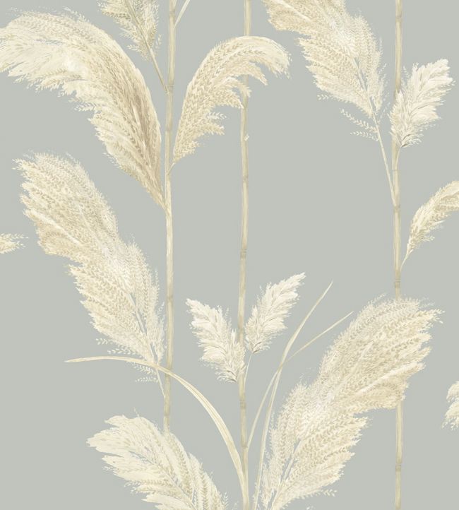 Pampas Grass Wallpaper - Gray 