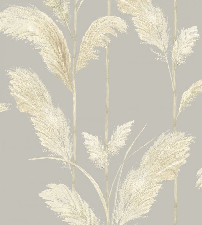 BMTD001-10B - Pampas Grass Wallpaper - Neutral Grey - Brand McKenzie