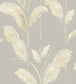 BMTD001-10B - Pampas Grass Wallpaper - Neutral Grey - Brand McKenzie
