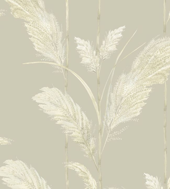 Pampas Grass Room Wallpaper - Cream