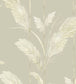 Pampas Grass Room Wallpaper - Cream