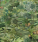 Rice Terrace Room Wallpaper 3 - Green