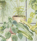 The Green House Room Wallpaper 3 - Green