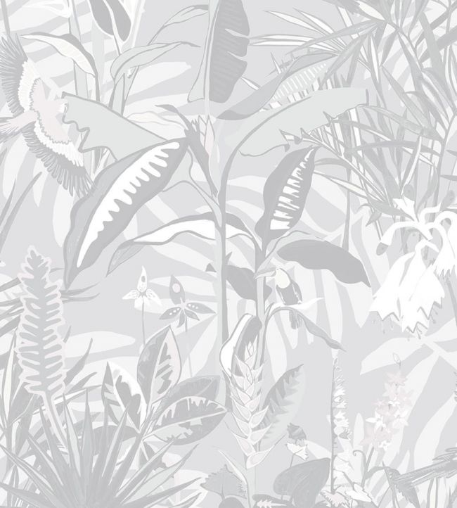 BMTD001-14C - The Tropics Wallpaper - Stone Grey - Brand McKenzie
