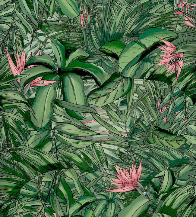 BMTD001-15A - Tropical Forest Wallpaper - Dark Green & Pink - Brand McKenzie