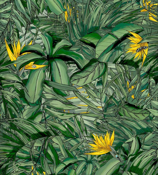 BMTD001-15B - Tropical Forest Wallpaper - Dark Green & Yellow - Brand McKenzie