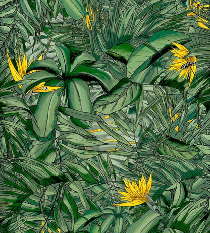 BMTD001-15B - Tropical Forest Wallpaper - Dark Green & Yellow - Brand McKenzie