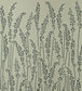 Feather Grass Wallpaper - Black