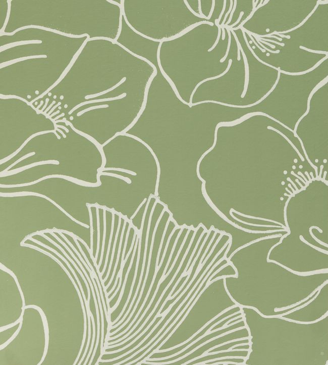 Helleborus Wallpaper - Green
